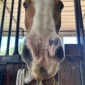 Meet your Posher, Sean